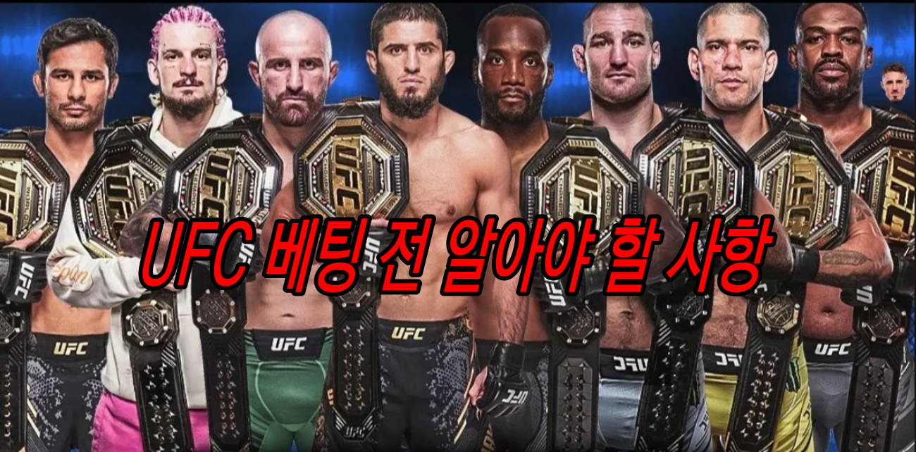 UFC 토토 베팅