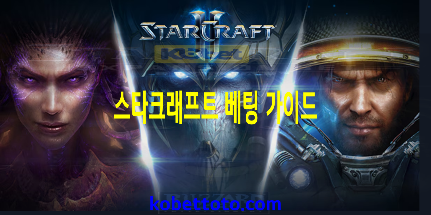 스타크래프트  베팅 전략